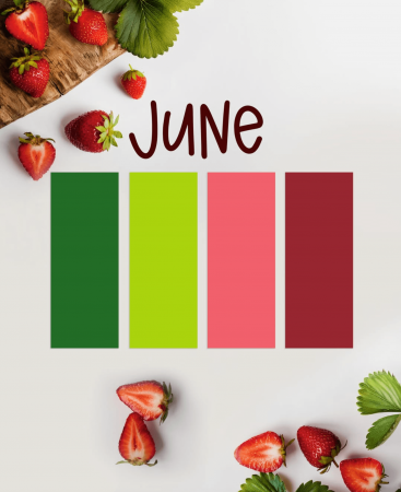 Folien-Bundle Juni´ 25 Palette Siser