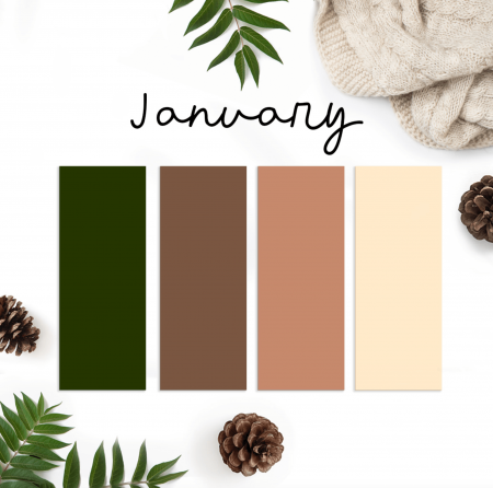 Folien-Bundle Januar´ 25 Palette Siser