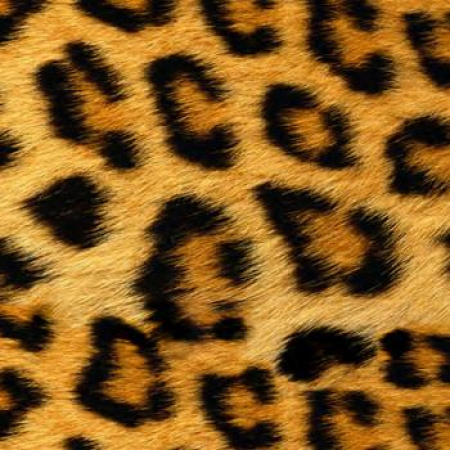 SISER® EasyPatterns Wild Leopard