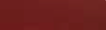 5201 Holo Red 