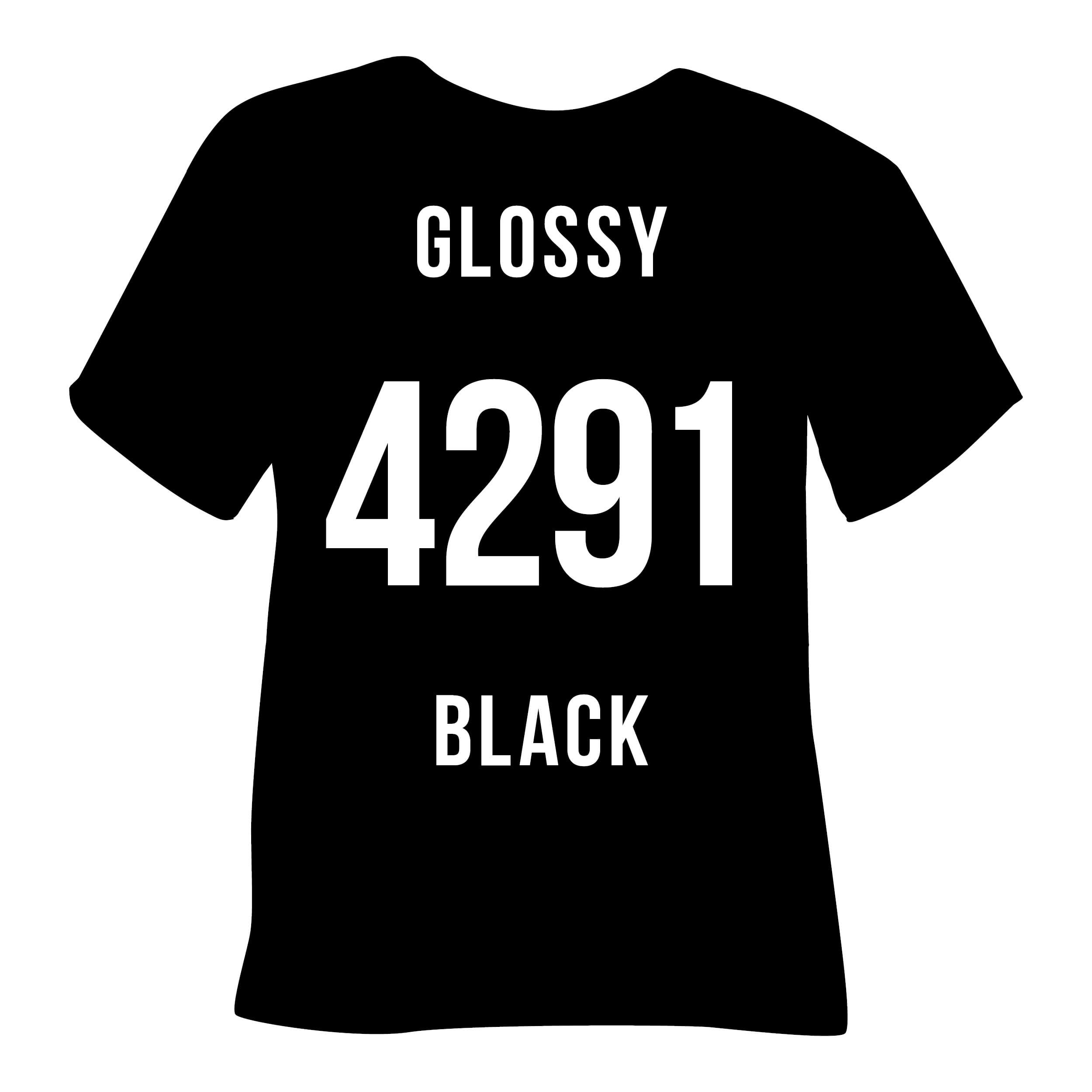4291 Glossy Schwarz (Glossy)