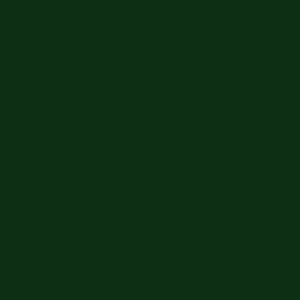 Forest Green (G42) 