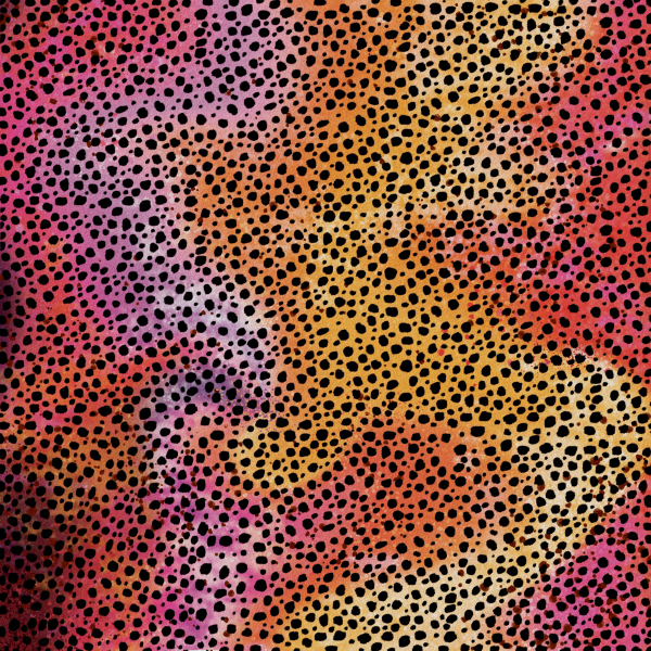 Cricut Infusible Ink Transferbogen, Rainbow Cheetah
